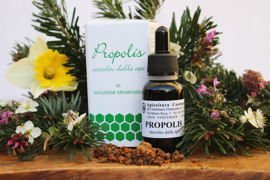 propolis_1.ed829362